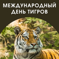 Международный день тигра 
