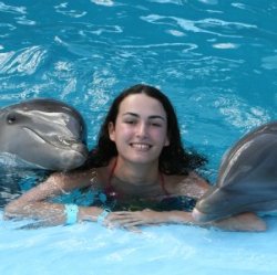 Плавание с дельфинами травмирует их