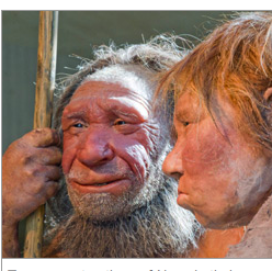 Азиатский неандерталец