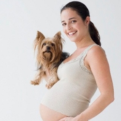 Собака – лучший друг беременной женщины