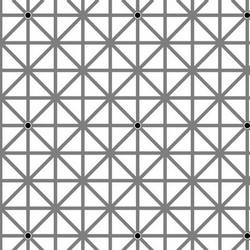 Вы не можете увидеть все 12 черных точек на этой оптической иллюзии