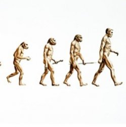 Эволюция человека проходила гораздо медленнее, чем полагалось