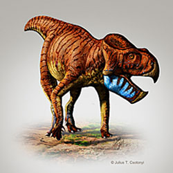 Найдены рогатые и горбатые миниатюрные предки динозавров 