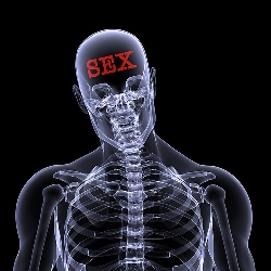 Сканирование мозга раскроет ваш сексуальный потенциал