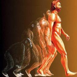 Находки, свидетельствующие об эволюции человека