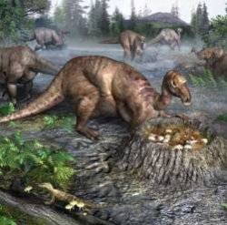 Динозавров убил метеорит