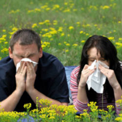 Микстура при бронхиальной астме