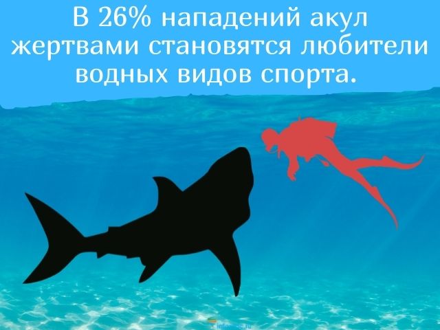 Статистика нападения акул. Статистика нападения акул на людей. Акула на глубине. Официальная статистика нападения акул.