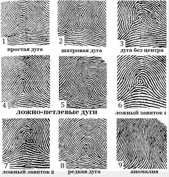 fingerprints5.jpg