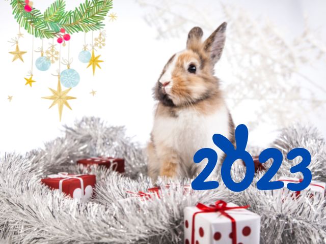 В каких цветах нужно наряжать елку в 2023 году Кролика, чтобы привлечь удачу