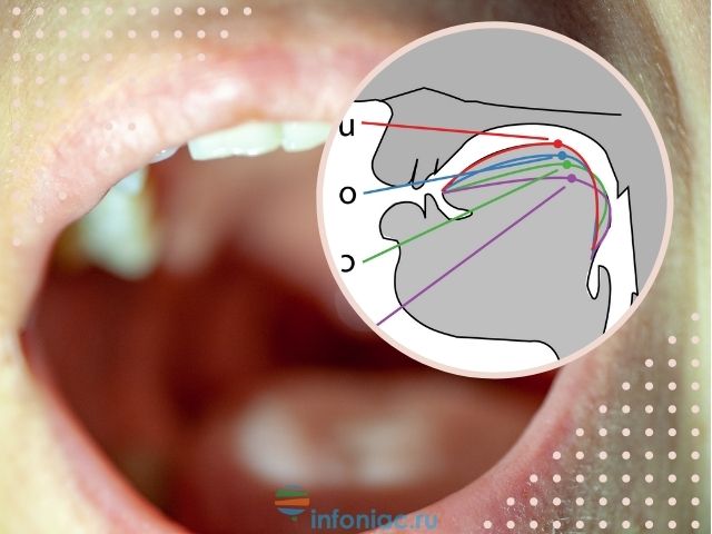 Как правильное положение языка во рту влияет на вашу привлекательность