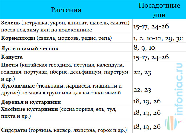 Лунный календарь для растений по дням на октябрь 2023