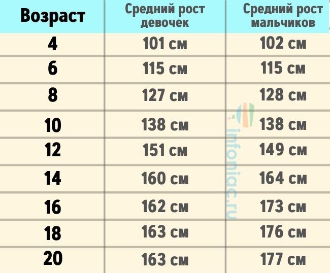 Можно Ли Определить Рост Человека По Фото