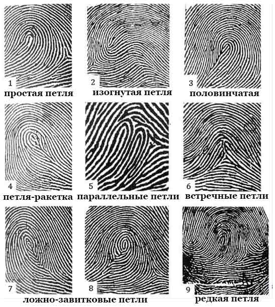 fingerprints6.jpg