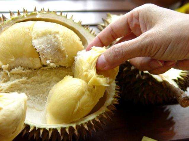 fructi-durian-1.jpeg