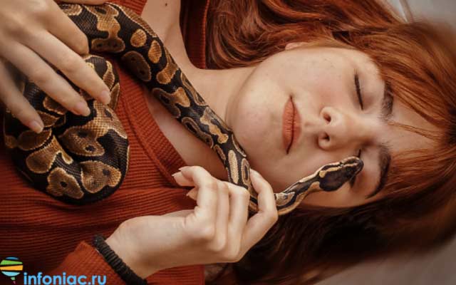 К чему снится много кусающих змей