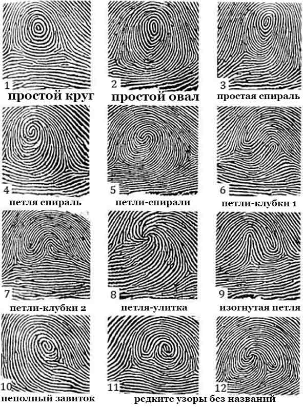 fingerprints4.jpg