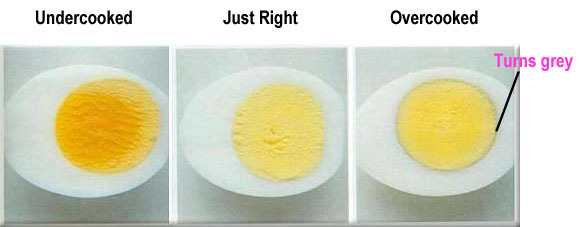 Как правильно сварить яйца. Наука выеденного яйца