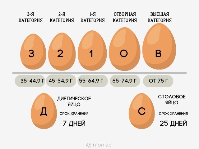 Значение надписи на яйцах: как правильно выбрать куриные яйца в магазине