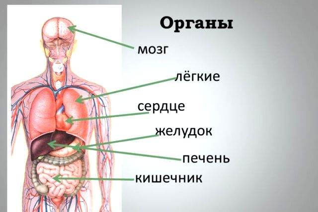 Проявление проблем с печенью