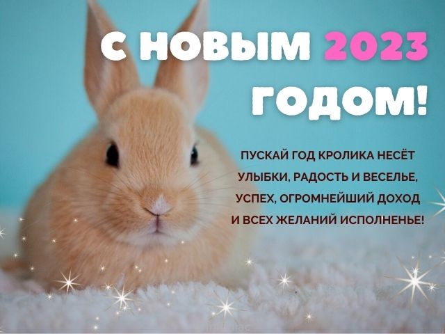 110 лучших поздравлений и открыток с наступающим Новым 2023 годом Кролика