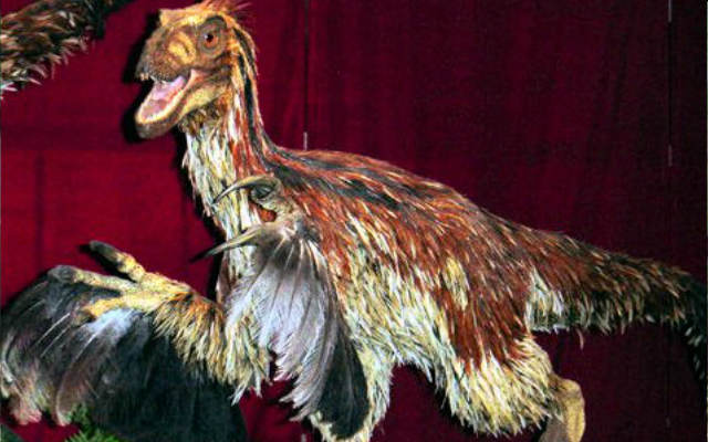 Картинки по запросу Перья динозавров