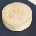 Создан сыр из бактерий стоп и подмышек людей