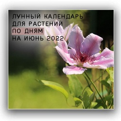 Лунный календарь для растений по дням на июнь 2022