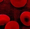 Свидание по группе крови