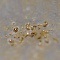 Существует  бактерия, производящая чистое золото