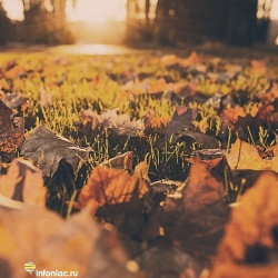 16 причин, почему осень – лучшее время года