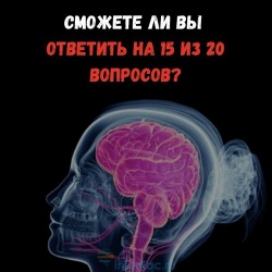 Тест: Есть ли у вас задатки врача? Ответьте хотя бы на 15 из 20 вопросов по анатомии