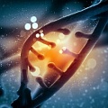 Ученые: сотни генов оживают после смерти