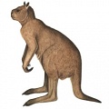 Австралия лишилась гигантских животных по вине человека