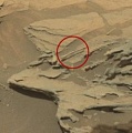 На Марсе обнаружена странная "плавающая ложка"?