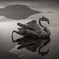 Смертельное озеро в Танзании превращает животных в статуи