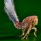 Личинка-тролль: обнаружен новый очень странный вид насекомого