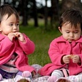 8 интересных фактов о близнецах