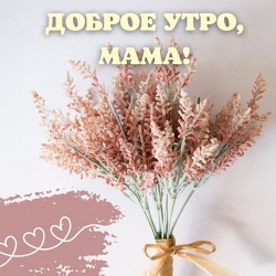 100 красивых и позитивных пожеланий с добрым утром маме