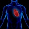 Топ 10 мифов о болезнях сердца