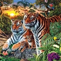 Сколько тигров вы видите на картинке?
