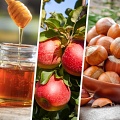 Медовый, яблочный, ореховый спас 2023: когда отмечают, традиции и приметы