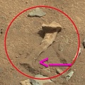 Ученые объяснили наличие "кости" на Марсе