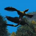 Ученые раскрыли тайну динозавров с четырьмя крыльями