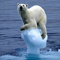 Таяние арктического шельфа 2012: на подходе новый рекорд