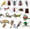 10 самых важных насекомых планеты 
