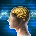 Электростимуляция мозга способна вызвать осознанные сновидения