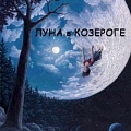 Лунный сонник и толкование снов по лунному календарю: луна в Козероге