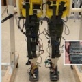 Разработан робот, воспроизводящий ходьбу человека