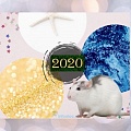 В каких цветах одежды нужно встречать 2020 год Крысы, чтобы притянуть удачу